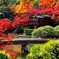 相楽園