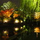 東寺*