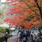 京都 毘沙門堂の紅葉