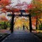 洛西の彩１０