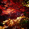 東郷公園3