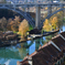 Bern7
