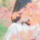 紅葉の中で