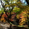 用作公園
