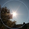 太陽・・・2
