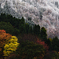 紅葉雪景Snap*5