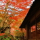 紅色