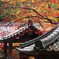 秋色の山寺
