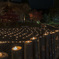 小山町の紅葉ライトアップ