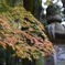 紅葉狩り
