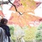 紅葉狩り