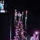 2017.11.11　USJツリー×花火