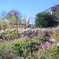 都市農業公園の秋　２