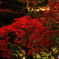 kiyomizu_008