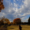 昭和記念公園