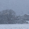 今年は雪が早い・・・