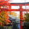下鴨神社