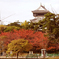 小倉城紅葉
