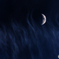~Moon~