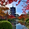 東寺の朝