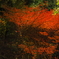 9EAB828C-9B89-4FFE-BCA3-1D53598CA4D7