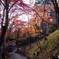 常寂光寺（京都）