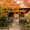 常寂光寺（京都）