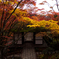 常寂光寺（京都）
