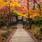 常寂光寺（京都）