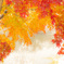 雪と紅葉２