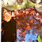 水の中の紅葉2