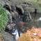 運動公園にて (17)