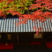 鮎司 平野屋７