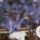 2017.11.24-44