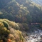 渡良瀬渓谷鉄道