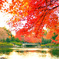 秋の中央公園2