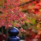 北野天満宮　紅葉３