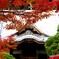 修善寺　秋