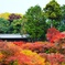 東福寺