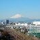晩秋の富士山