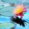 花影