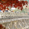 紅葉と渡月橋