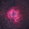 バラ星雲