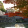 紅葉と堀