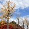 11月最後の日曜日