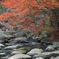 映える川面