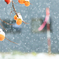 柿の雪ぼうし ～大雪編～