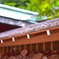屋根