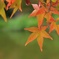 F4373CA3-C1BD-477A-9BC1-0C182888C154
