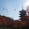 東寺　紅葉